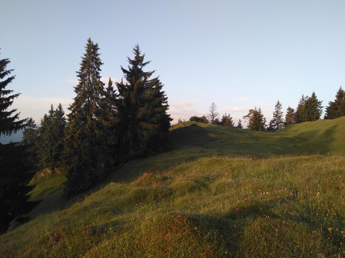 Leitnerhof Villa Niederau Kültér fotó